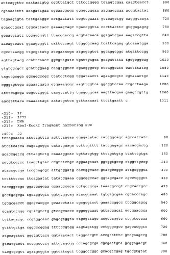 Днк, кодирующая дипептид-синтезирующий фермент (варианты), бактерия рода escherichia и способ получения дипептидов с ее использованием (патент 2560980)