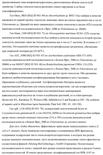 Бактерия семейства enterobacteriaceae - продуцент l-аспарагиновой кислоты или метаболитов, производных l-аспарагиновой кислоты, и способ получения l-аспарагиновой кислоты или метаблитов, производных l-аспарагиновой кислоты (патент 2472853)