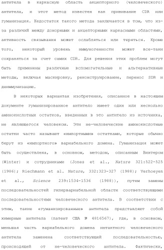 Антитела против вируса гепатита с (патент 2462475)