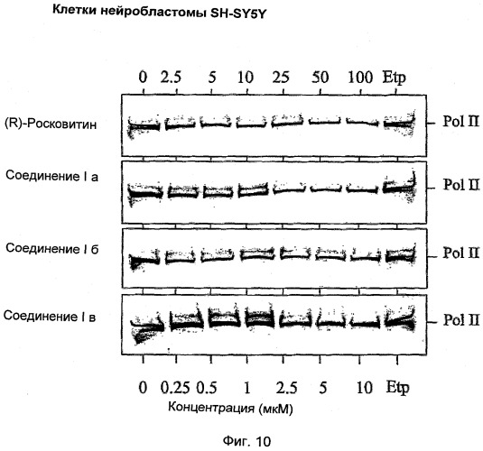 Перхаридины в качестве ингибиторов cdk (патент 2498984)