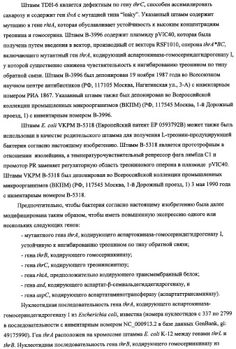 Способ получения l-треонина с использованием бактерии, принадлежащей к роду escherichia, в которой инактивирован кластер генов sfmacdfh-fimz или ген fimz (патент 2333953)