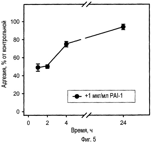 Модуляторы связывания pai-1 для лечения глазных болезней (патент 2465898)
