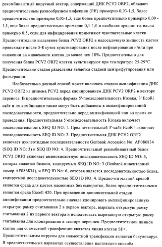 Поливалентные иммуногенные композиции pcv2 и способы получения таких композиций (патент 2488407)