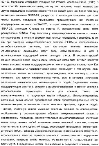 Иммунологические анализы активности ботулинического токсина серотипа а (патент 2491293)