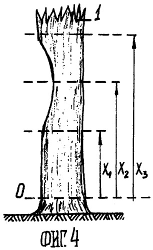 Способ анализа комлевой части растущего дерева (патент 2254707)