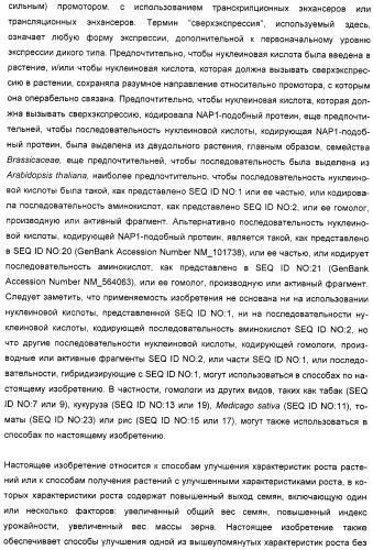 Способ повышения выхода семян растения, способ производства трансгенного растения, имеющего повышенную урожайность семян, генная конструкция для экспрессии в растении и трансгенное растение (патент 2409938)