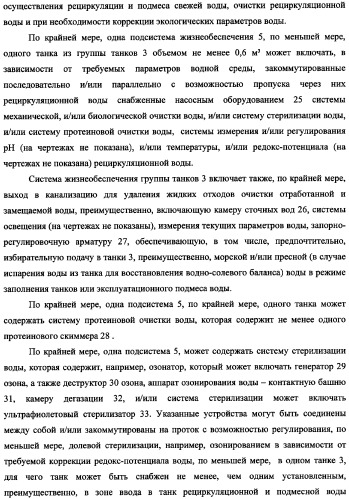 Система жизнеобеспечения группы танков океанариума (варианты) (патент 2343703)