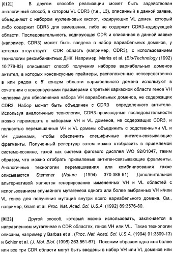 Антитела против интерлейкина-13 человека и их применение (патент 2427589)