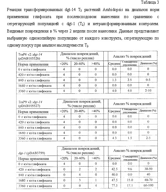 Синтетические транзитные пептиды хлоропласта из brassica (патент 2636035)