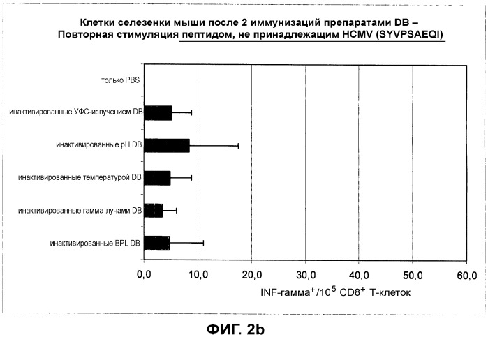 Композиция, содержащая частицы hcmv (патент 2505314)