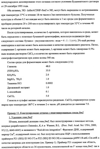 Способ получения l-треонина с использованием бактерии, принадлежащей к роду escherichia, в которой инактивирован кластер генов sfmacdfh-fimz или ген fimz (патент 2333953)