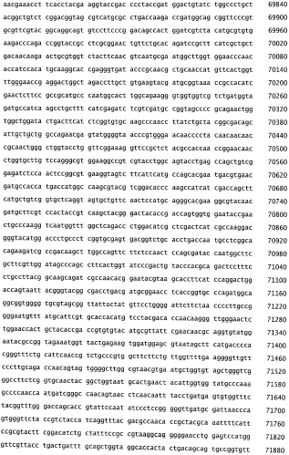 Бактериофаг, обладающий активностью против pseudomonas aeruginosa, белки бактериофага и способы их применения (патент 2580248)