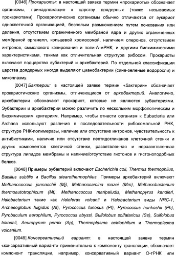 Генетически кодируемые флюоресцентные кумариновые аминокислоты (патент 2473690)