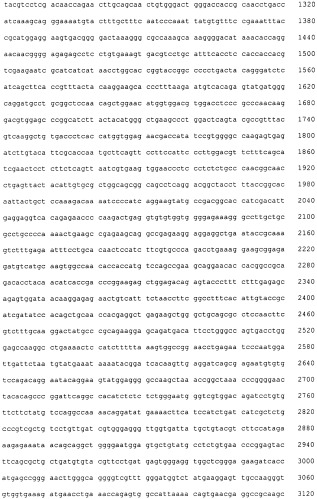 Pscaxcd3, cd19xcd3, c-metxcd3, эндосиалинxcd3, epcamxcd3, igf-1rxcd3 или fap-альфаxcd3 биспецифическое одноцепочечное антитело с межвидовой специфичностью (патент 2547600)