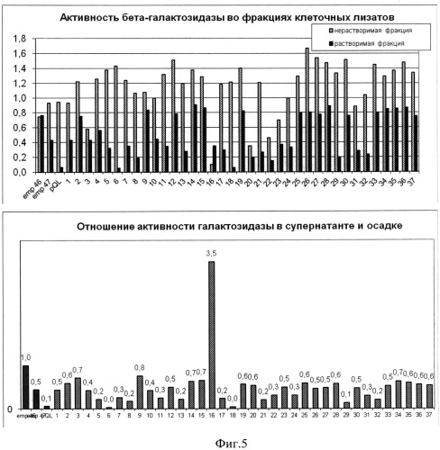 Метод получения библиотек серийных двухсторонних делеций с помощью пцр с вырожденным праймером (патент 2511424)