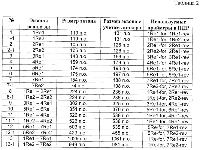 Способ получения и экспрессии кодирующей последовательности изоформы 2 гена реналазы человека (патент 2482185)