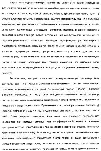 Выделенный полипептид, связывающий рецептор zalpha11-лиганда (варианты), кодирующий его полинуклеотид (варианты), вектор экспрессии (варианты) и клетка-хозяин (варианты) (патент 2346951)