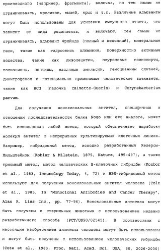 Поликлональное антитело против nogo, фармацевтическая композиция и применение антитела для изготовления лекарственного средства (патент 2432364)