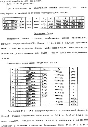 Гибридная и тандемная экспрессия белков нейссерий (патент 2339646)