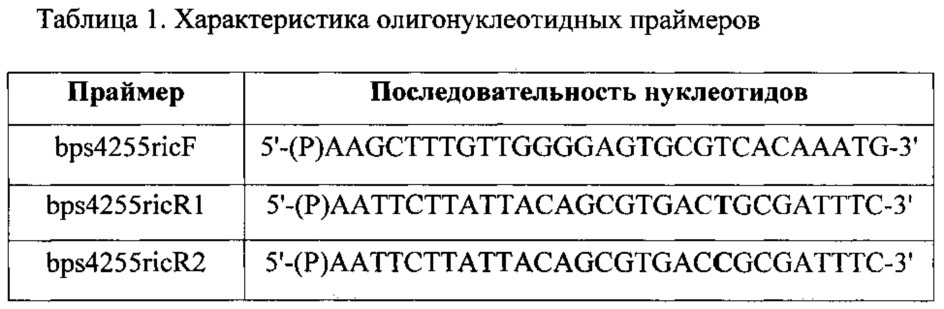 Набор 5'-фосфорилированных олигонуклеотидных праймеров для амплификации методом полимеразной цепной реакции полной кодирующей последовательности гена омра/мотв burkholderia pseudomallei (патент 2608505)