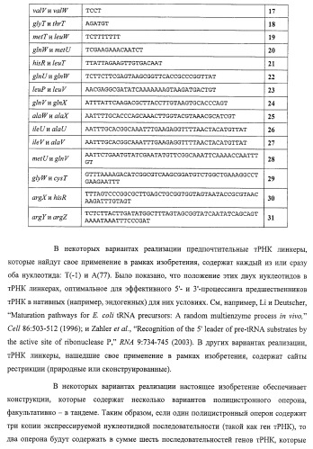 Система экспрессии компонентов ортогональной трансляции в эубактериальной клетке-хозяине (патент 2467069)