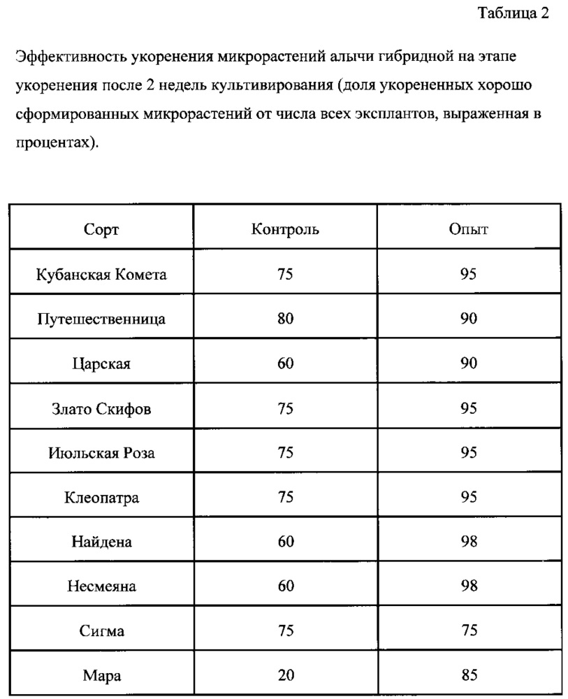 Способ клонального микроразмножения алычи in vitro (патент 2652953)