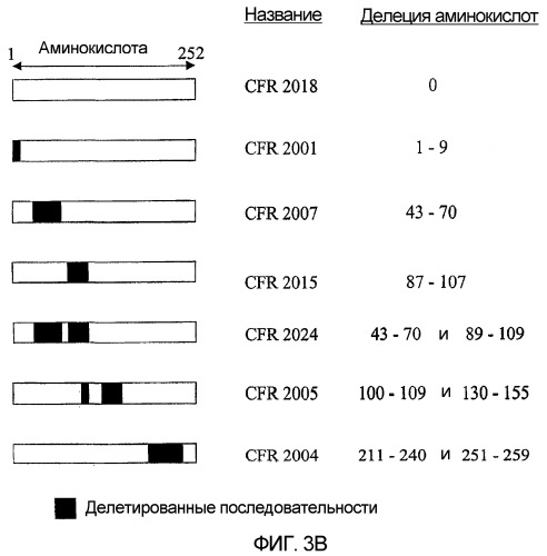 Способ уничтожения злокачественной клетки (патент 2432358)