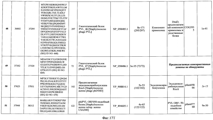 Бактериофаг, обладающий активностью против pseudomonas aeruginosa, белки бактериофага и способы их применения (патент 2580248)