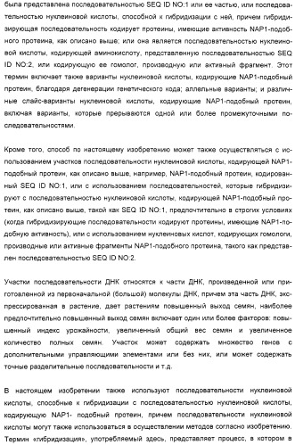 Способ повышения выхода семян растения, способ производства трансгенного растения, имеющего повышенную урожайность семян, генная конструкция для экспрессии в растении и трансгенное растение (патент 2409938)