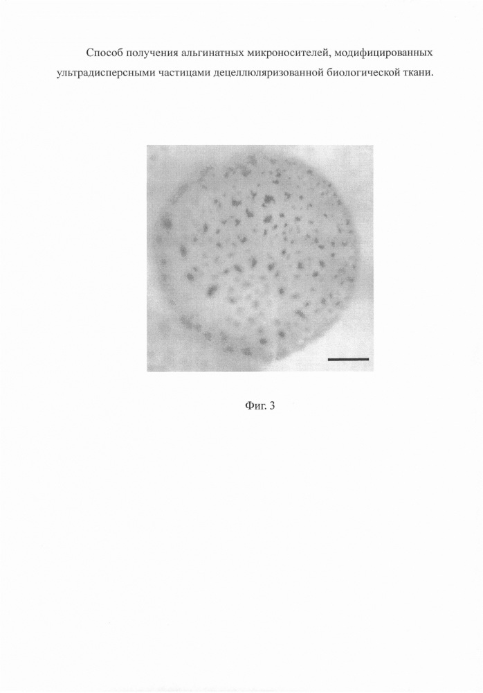 Способ получения модифицированных альгинатных микросфер (патент 2606843)