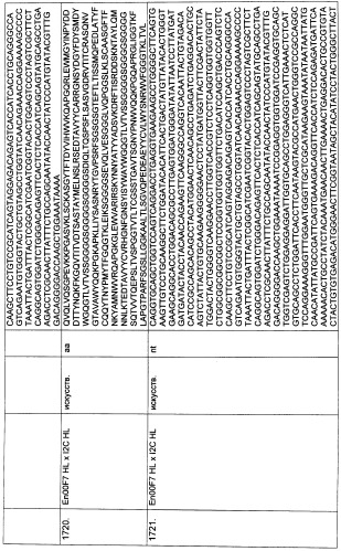 Pscaxcd3, cd19xcd3, c-metxcd3, эндосиалинxcd3, epcamxcd3, igf-1rxcd3 или fap-альфаxcd3 биспецифическое одноцепочечное антитело с межвидовой специфичностью (патент 2547600)