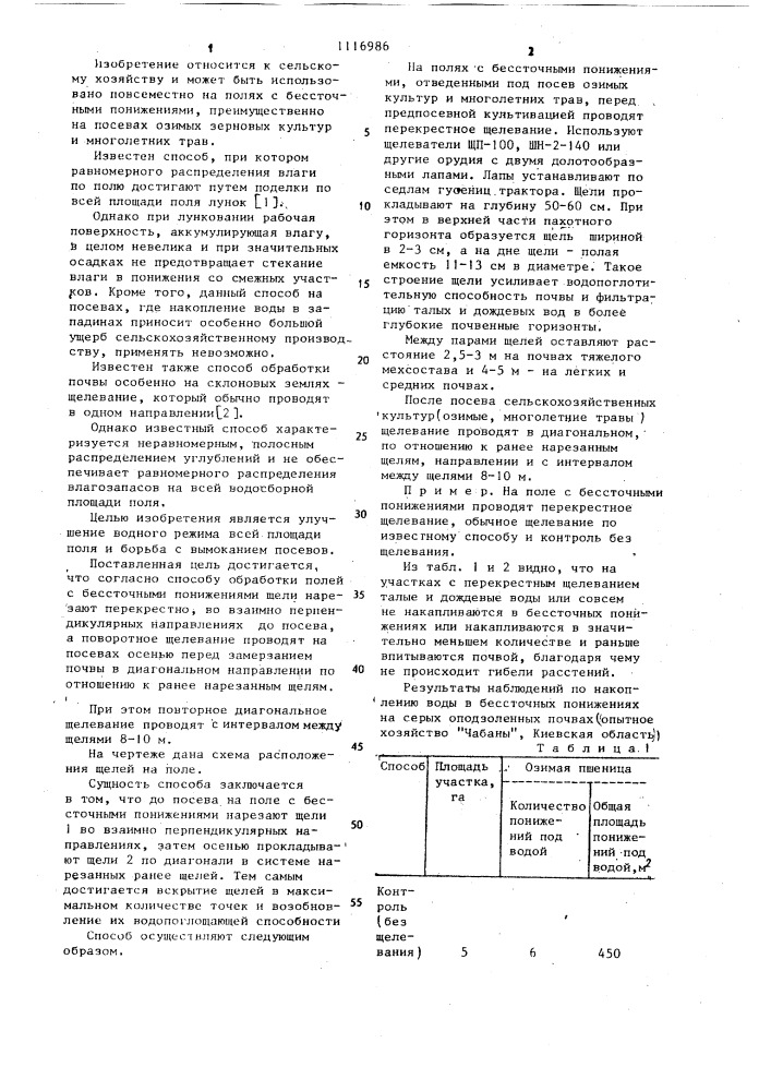 Способ обработки полей с бессточными понижениями (патент 1116986)