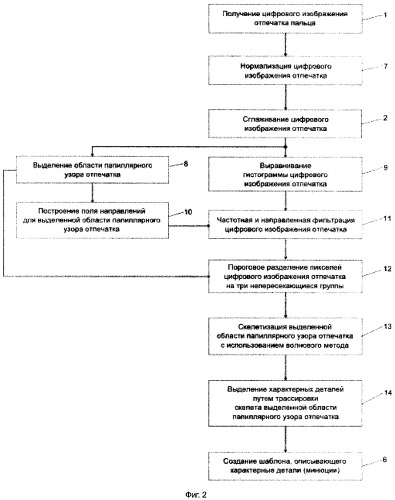 Способ формирования представления (шаблона) отпечатка пальца человека (патент 2364936)