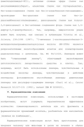 Антитела против вируса гепатита с (патент 2462475)