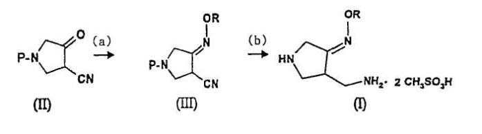 Новый способ получения метансульфоната 4-аминометил-3-алкоксииминопирролидина (варианты), промежуточные продукты и способ получения хинолоновых антибиотиков (патент 2303029)