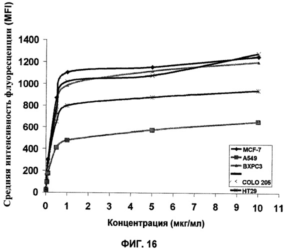 Новые антипролиферативные антитела (патент 2451689)
