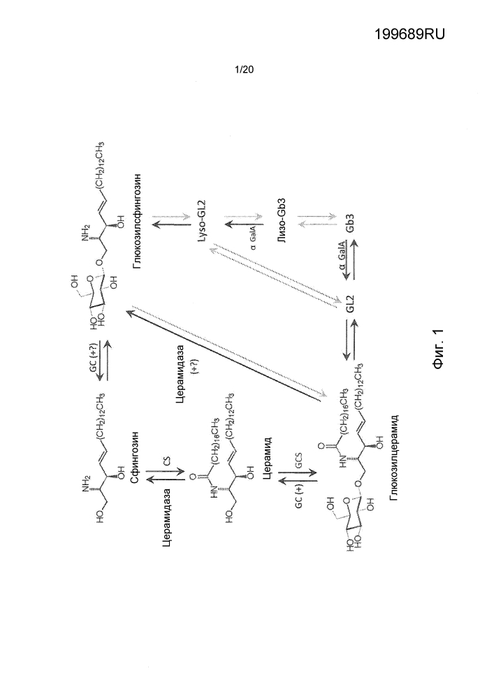 Ингибиторы глюкозилцерамид-синтазы (патент 2645675)