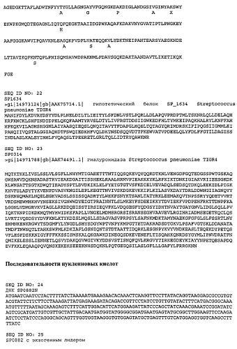 Вакцины и композиции, направленные против streptococcus pneumoniae (патент 2580299)