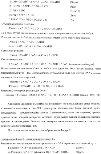 Способ продукции полезного метаболита (патент 2408731)