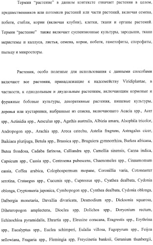 Растения с повышенной урожайностью и способ их получения (патент 2377306)