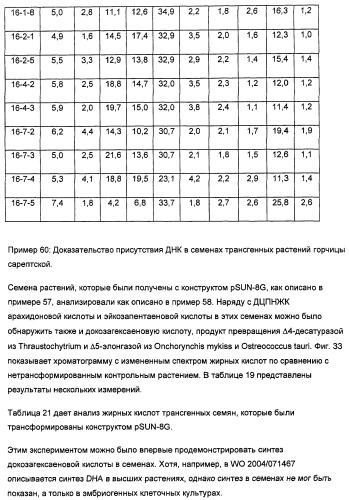 Способ получения полиненасыщенных кислот жирного ряда в трансгенных организмах (патент 2447147)