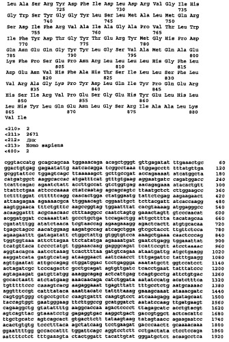Ген новой сериновой протеазы, родственной dppiv (патент 2305133)