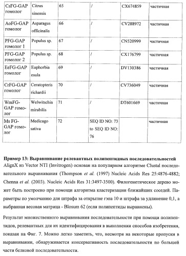 Растения, имеющие улучшенные характеристики роста, и способы их получения (патент 2463352)