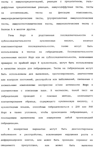 Поликлональное антитело против nogo, фармацевтическая композиция и применение антитела для изготовления лекарственного средства (патент 2432364)