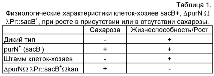 Плазмида без устойчивости к антибиотику (патент 2548809)