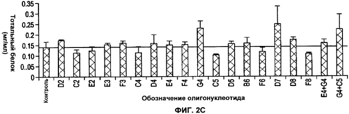 Лечение пролиферативных заболеваний с использованием антисмыслового олигомера iap и химиотерапевтического препарата (патент 2376018)