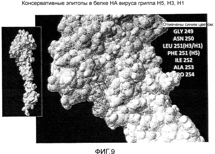 Иммуногенные композиции и способы (патент 2468034)