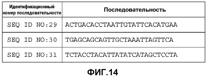 Лечение сиртуин 1 (sirt1)-связанных заболеваний путем ингибирования натурального антисмыслового транскрипта (патент 2551234)