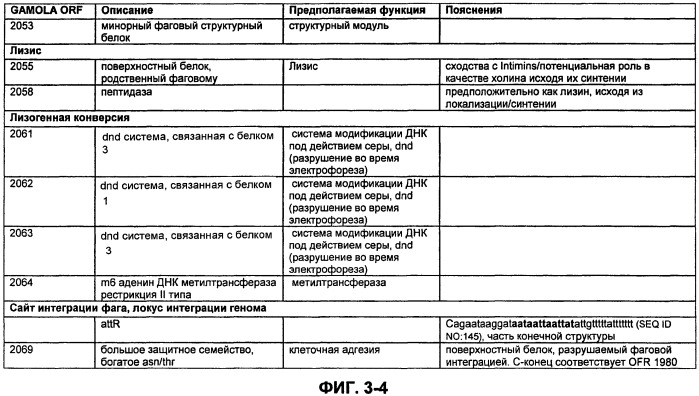 Полинуклеотиды и полипептиды фага φ-mru, и их применение (патент 2520738)