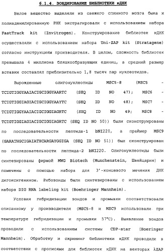 Поликлональное антитело против nogo, фармацевтическая композиция и применение антитела для изготовления лекарственного средства (патент 2432364)